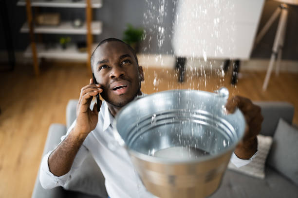 Best Flood damage cleanup  in Upper Sandusky, OH