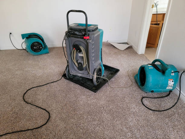 Best Fire Damage Restoration  in Upper Sandusky, OH