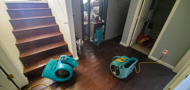 Best Sewage cleanup and water damage restoration  in Upper Sandusky, OH