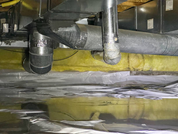 Best Water damage mitigation services  in Upper Sandusky, OH