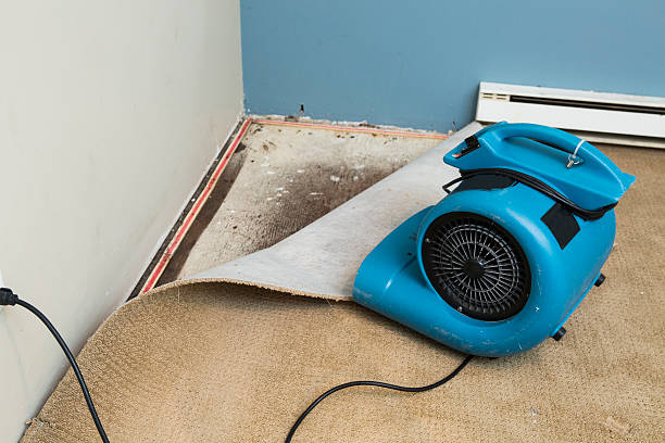 Best Professional water damage repair  in Upper Sandusky, OH